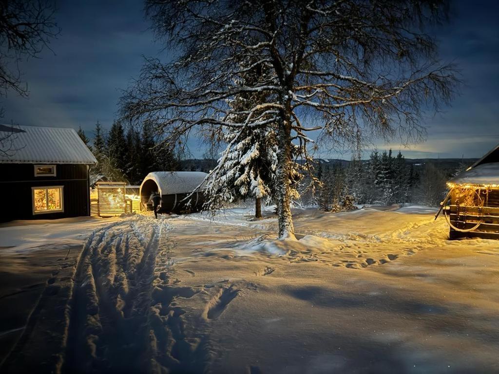 Forest Cabin With Stunning Mountain View & Sauna ทอร์สบี ภายนอก รูปภาพ